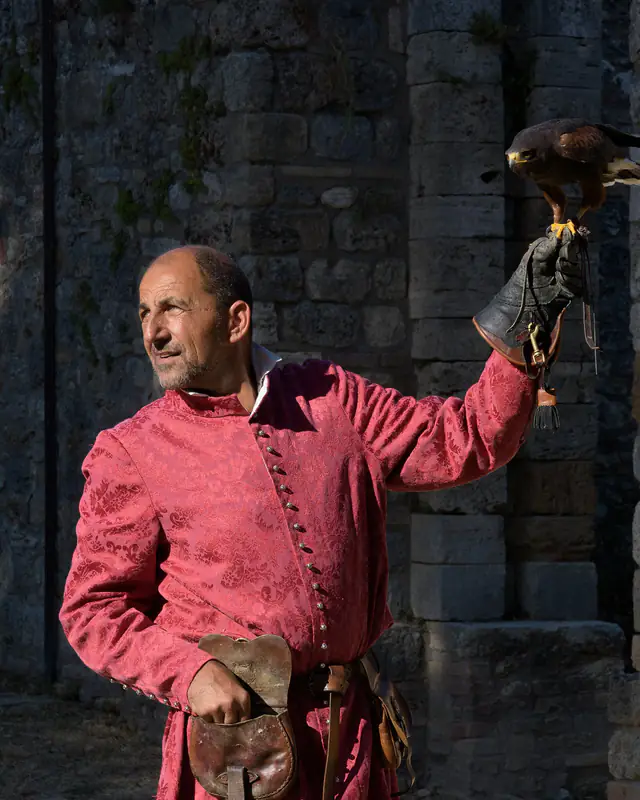 Un falconiere in abiti medievali con un rapace sul guanto