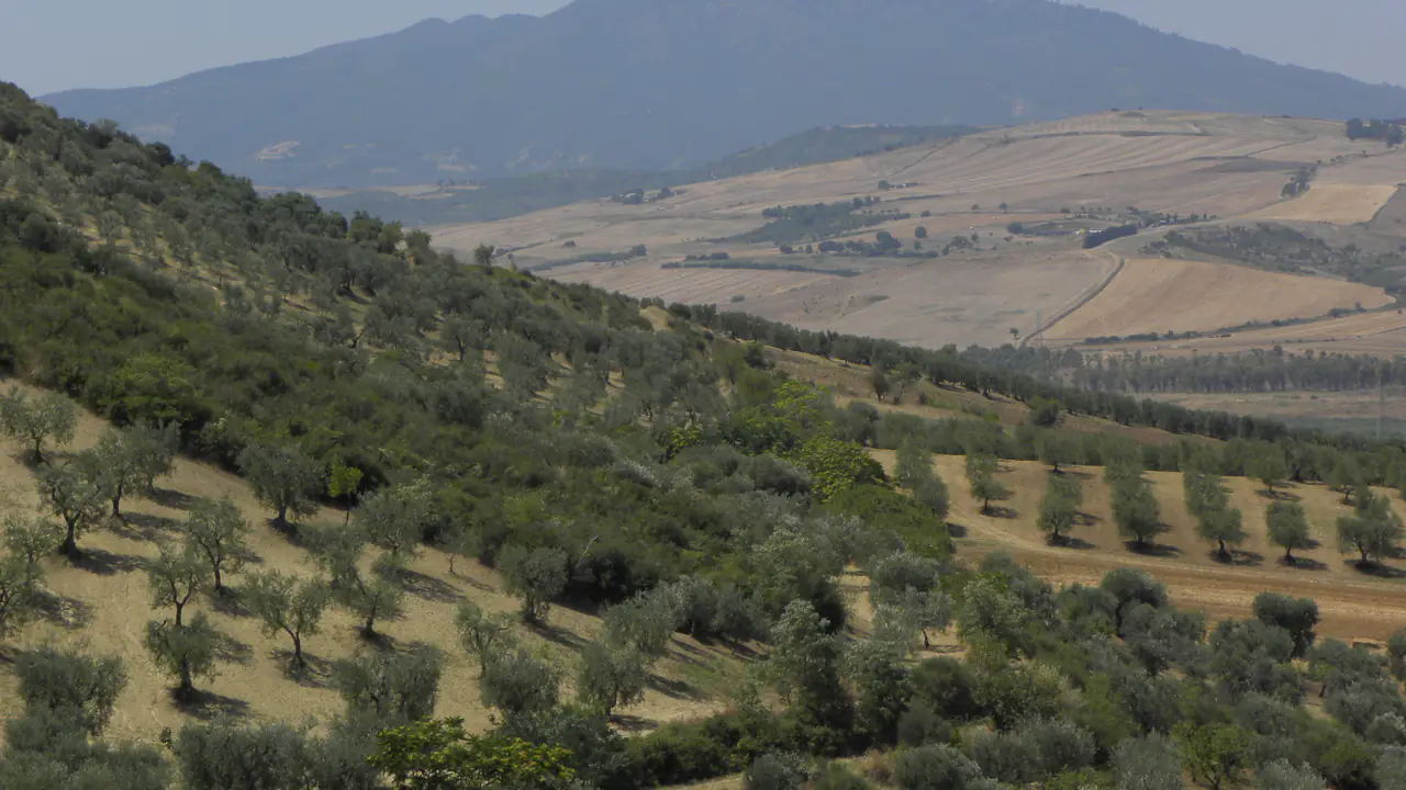 Colline e campi con il Monte Vulture all’orizzonte