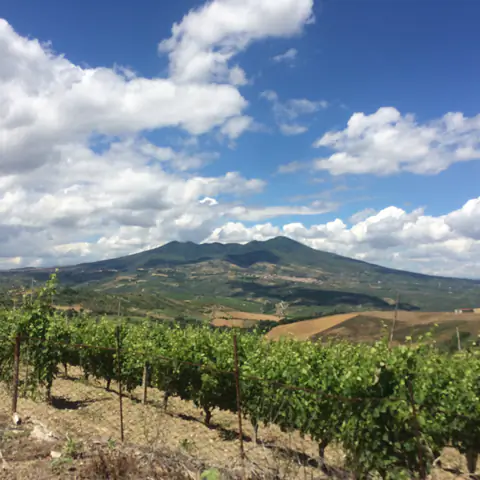Aglianico del Vulture