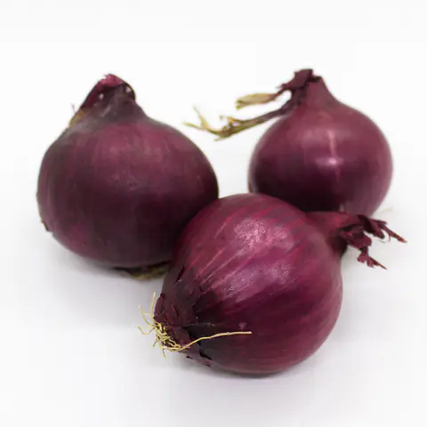 Cipolla rossa