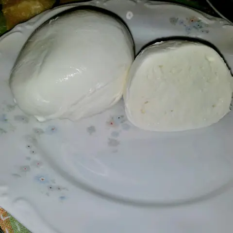 Mozzarella di bufala